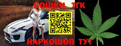 индика Кузнецк