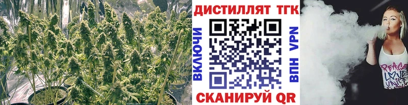 ОМГ ОМГ   где купить наркоту  Дятьково  ТГК Wax 