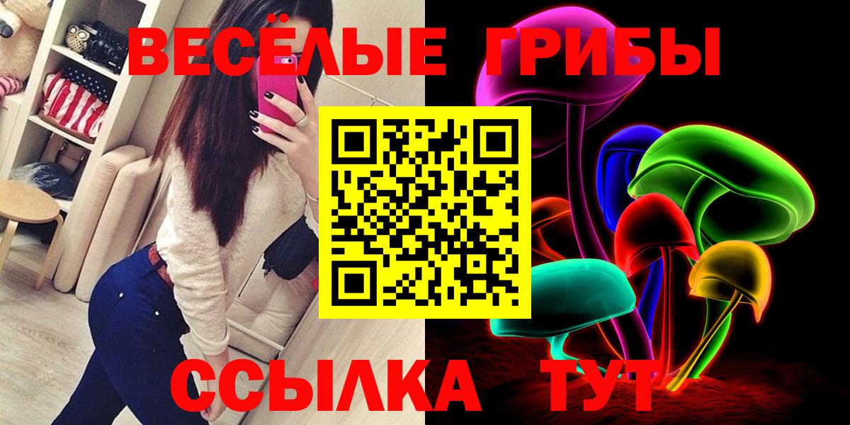 Галлюциногенные грибы GOLDEN TEACHER Дятьково